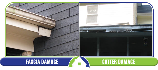 Gutter Issues