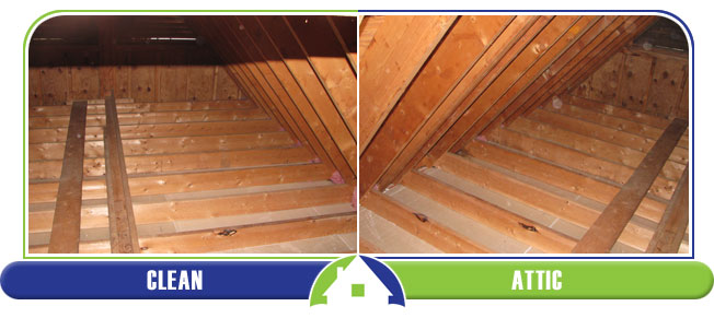 Clean Attic